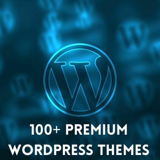 Get Your Website Looking Amazing with 100+ Premium WordPress Themes